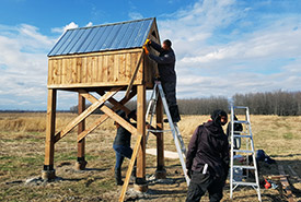 Des bénévoles installent des nichoirs à l'île du Moine, Québec
