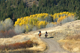 Heart of Gold Grasslands, Lac-du-Bois, BC (Photo by NCC)