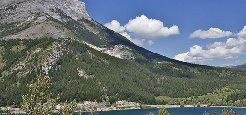 Lusicich Property, Crowsnest Pass, AB (Photo by NCC)