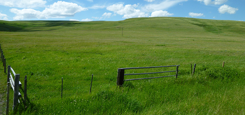 Property in the Southern Foothills, AB (Photo by NCC)