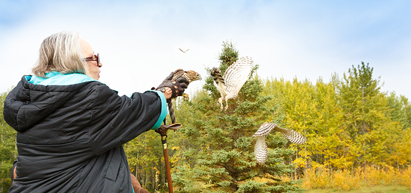 Joanne Laskin releasing the Cooper's hawk on Bunchberry Meadows at the Gathering for Nature (Photo by Kyle Marquardt)