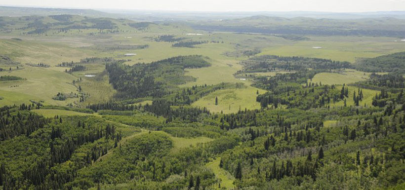 OH Ranch, Bow Natural Area, AB (Photo by Bob Lee)