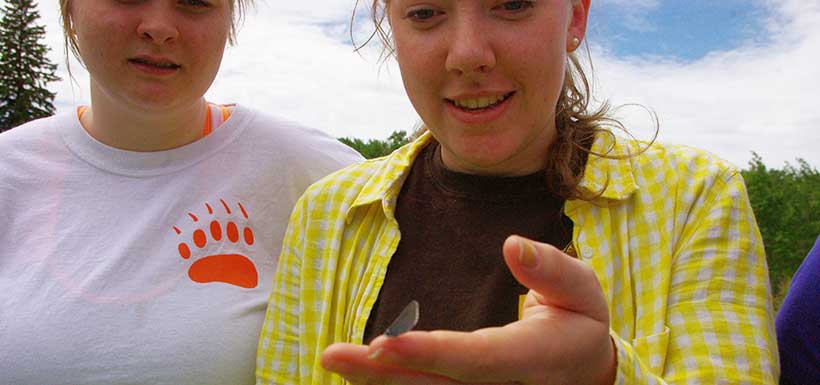 Volunteers catching butterflies (Photo by NCC)