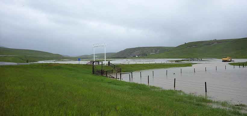 Summer 2014 excess rain at the Waldron in Southern Alberta (Photo by NCC)