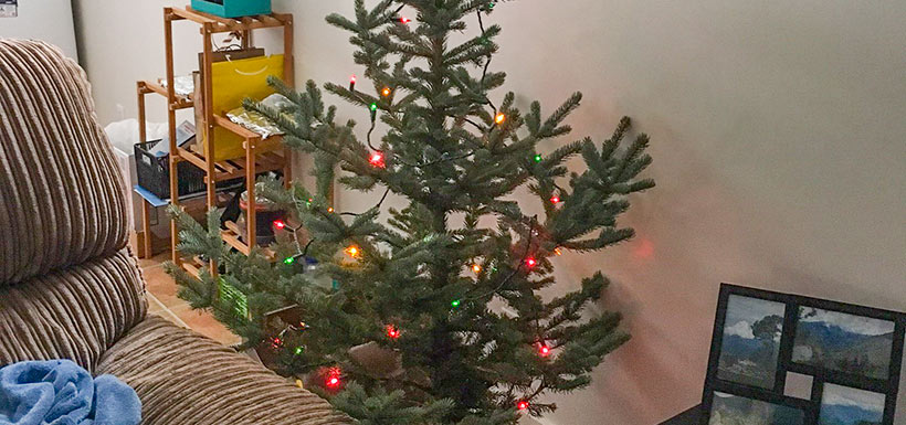 Christmas tree (Photo courtesy Alia Snively)