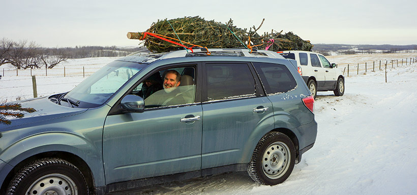 Volunteer David Carey at taking a tree home (Photo by NCC)