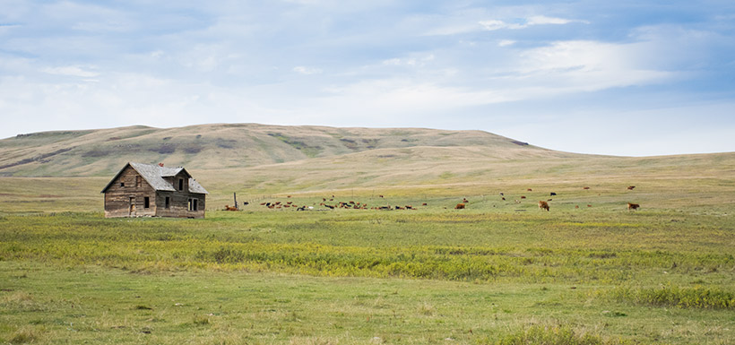 Oxley Ranch (Photo by NCC)