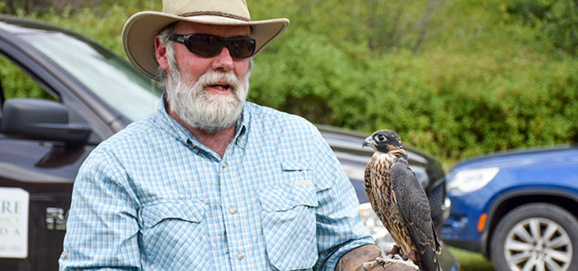 Dale Paton and his falcon at the Swann CV event (Photo by NCC)