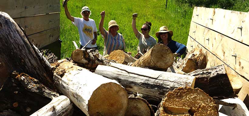 Volunteers loading logs in truck at the HG Lawrence property (Photo by NCC)