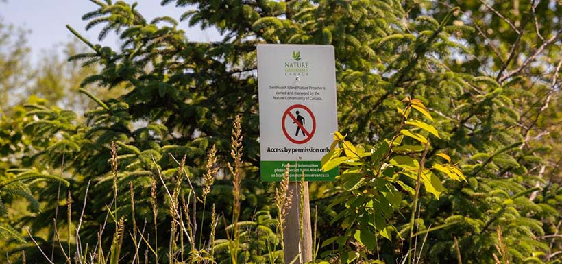 Access to the island is restricted and by permission only in order to protect the wildlife.