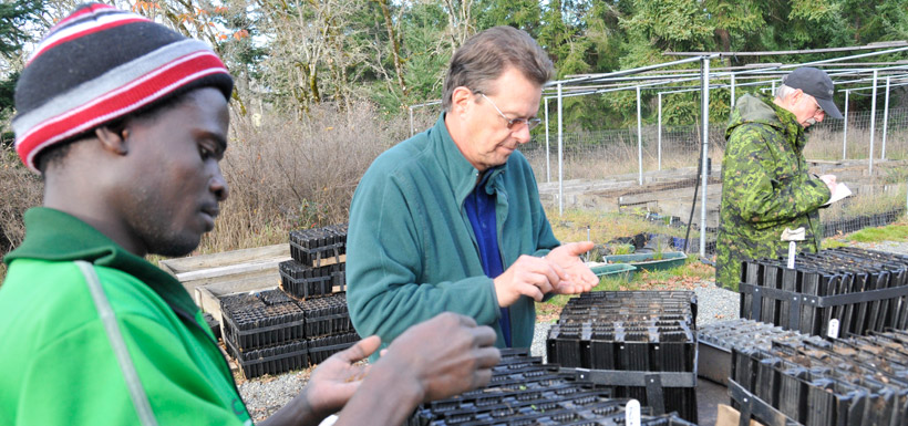 Chafim plants seeds in the nursery (Photo by NCC)