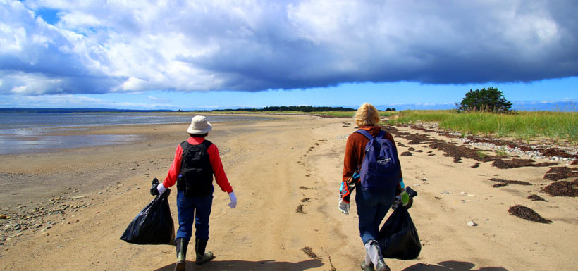 Conservation Volunteers hauling marine trash along the beach (Photo by Aiden Mahoney)