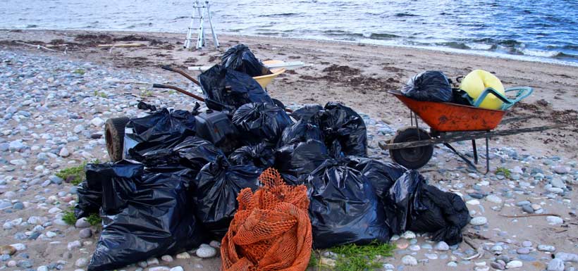 More than 250 pounds of garbage was removed from Sandy Point's beaches (Photo by Aiden Mahoney)