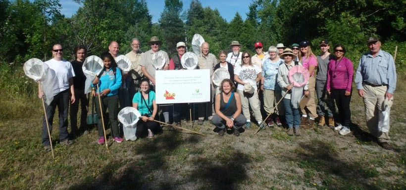 2016 Carden Alvar Butterfly Count (Photo by NCC)