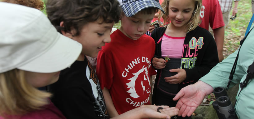 Learning what a millipede feels like, Nature Days event, Happy Valley Forest, ON (Photo by Mike Dembeck)