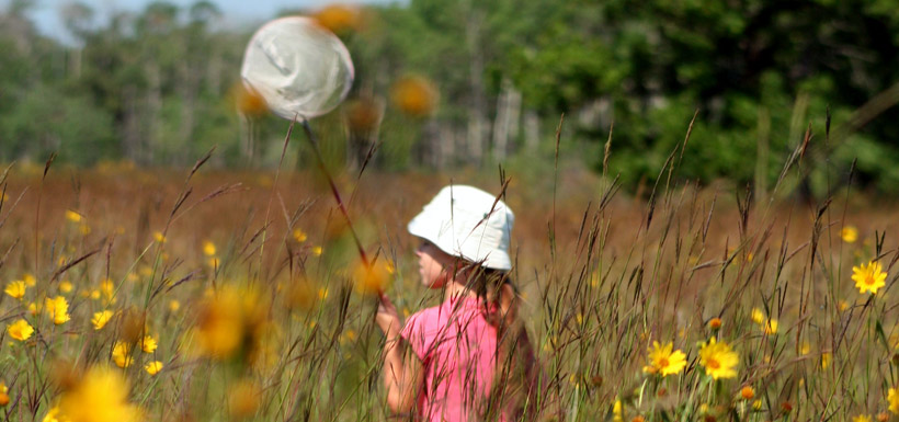 A child explores Manitoba's Tall Grass Prairie. (Photo by NCC)