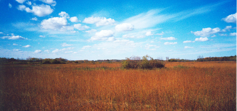 Tall Grass Prairie, Manitoba (Photo by NCC)