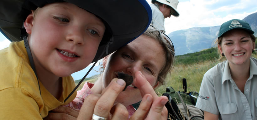 Butterfly count, Waterton Park Front, AB (Photo by NCC)