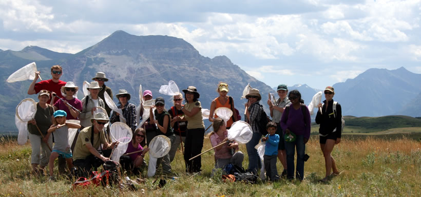 The Waterton Park Front butterfly survey team (Photo by NCC)