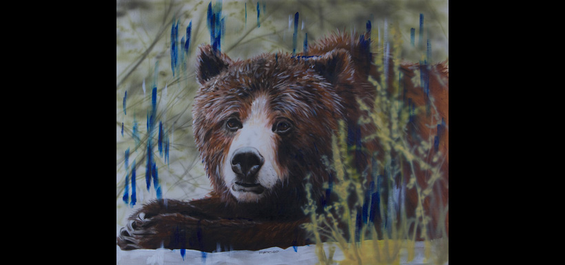 Grizzly bear (Painting by David Arrigo)
