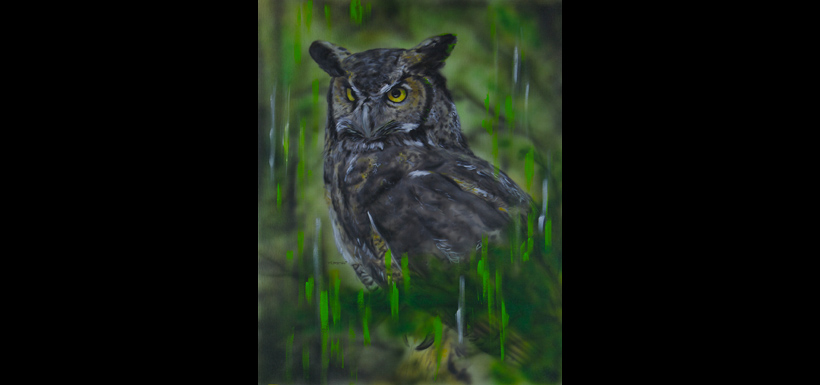 Great horned owl (Painting by David Arrigo)