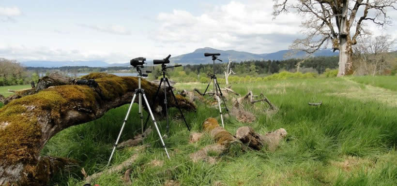 Spotting scope, Cowichan Garry Oak Preserve (Photo by Carolyn Mason)