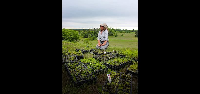 Val Deziel teaching a group of volunteers about tallgrass prairie restoration before planting thousands of plants at Hazel Bird Nature Reserve, ON. (Photo by Chelsea Marcantonio)