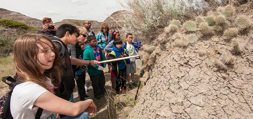 Students examine cacti in the badlands (Photo by Brett Gilmour)