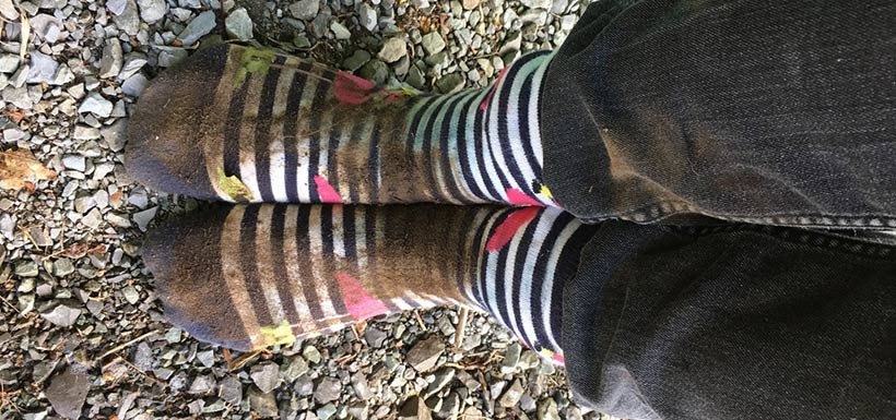 My flamingo socks after a field day (Photo by Megan Quinn/NCC staff)