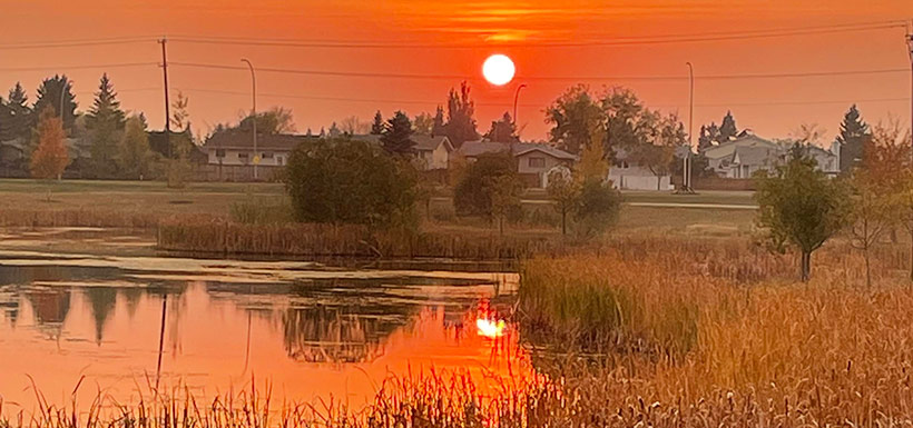 Incredible sunsets in the wetlands, Alberta (Photo by Mariam Qureshi)