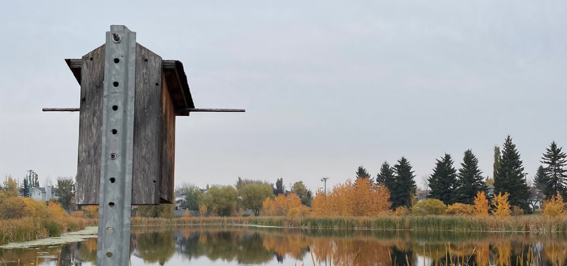 Nest box overlooking the water (Photo by Mariam Qureshi)