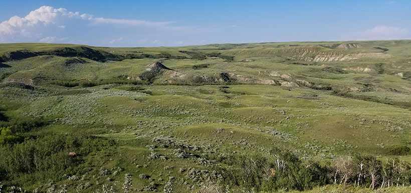Prairie in the Milk River Basin Natural Area, SK (Photo by NCC)