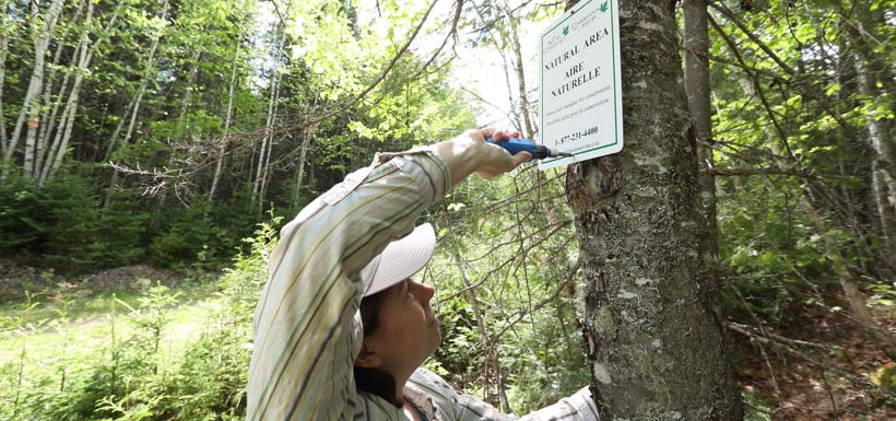 Staff installing signage at Foxner Nature Reserve, Bartholomew River, NB (Photo by Mike Dembeck)