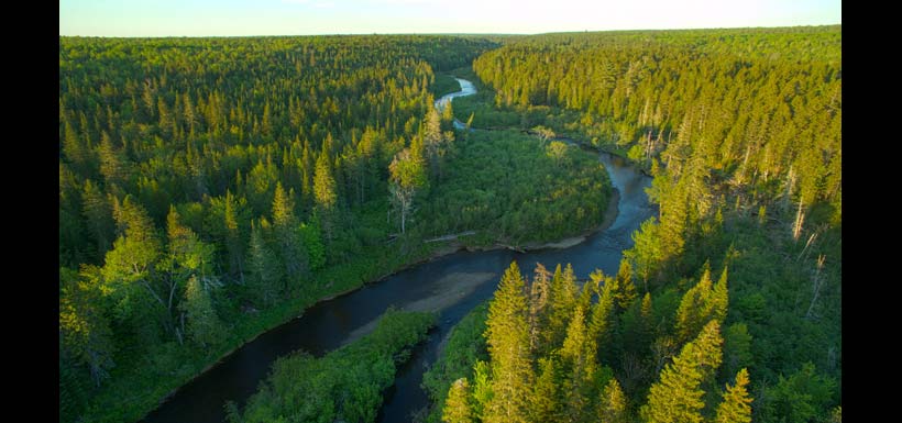Aerial view of Foxner Nature Reserve, NB (Photo by Mike Dembeck)