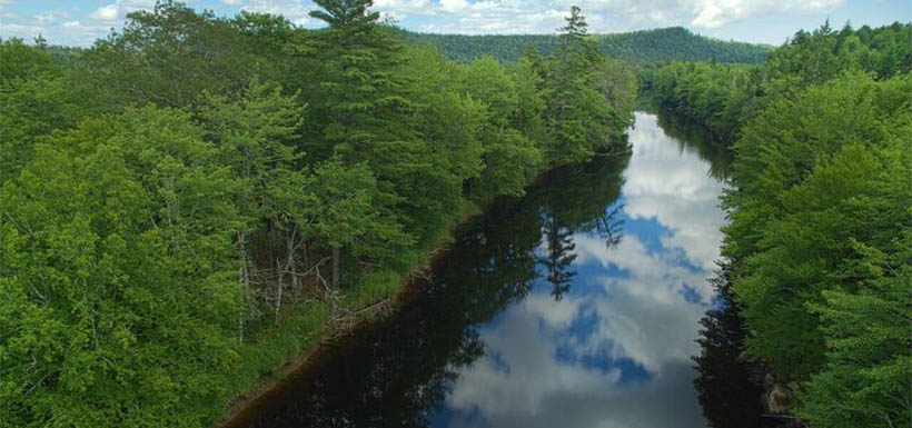 Musquodoboit River, Nova Scotia (Picture by Mike Dembeck)