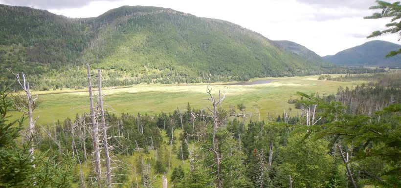 Scenery of Grassy Place, NL (Photo by NCC)