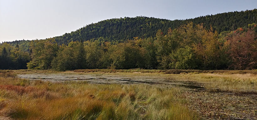 Protected properties in the peripheral zone of La Mauricie National Park, QC (Photo by NCC)
