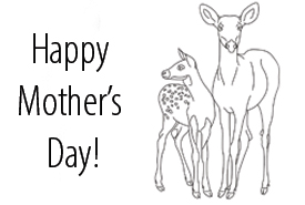 Mother's day deer colouring page