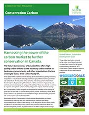 Carbon program brochure