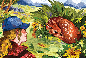 Zoe Arnold's encounter with a young fawn (Illustration by Emily Press)