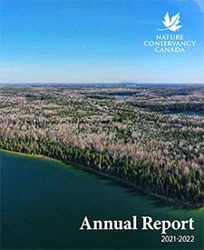 Annual Report - 2021/22