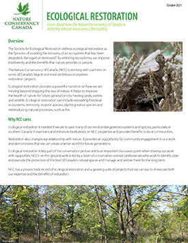 Fact sheet on ecosystem restoration