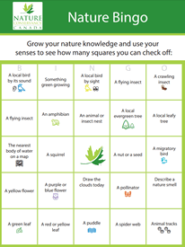 Nature bingo