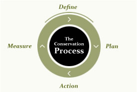 The conservation process
