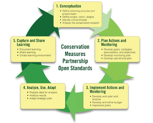 CMP’s adaptive management planning cycle. (Graphic by CMP)