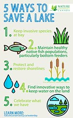 Five ways to save a lake (Infographic by NCC)