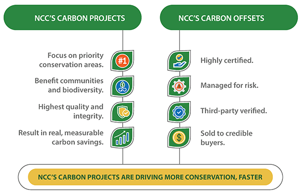 Infographic: NCC's carbon projects and offsets