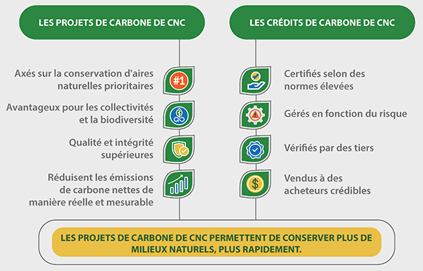 Infographique: Les projets et crédits de carbone de CNC