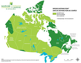 Range of sandhill crane in Canada (Map by NCC)