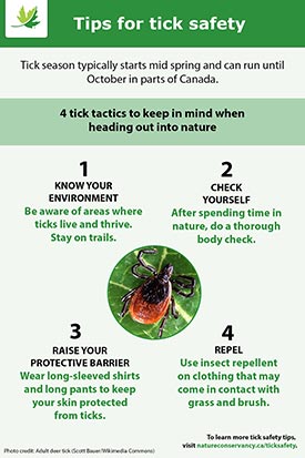 Tips for tick safety (Graphic by NCC)